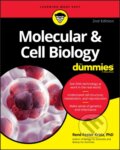 Kniha: Molecular & Cell Biology For Dummies (Rene Fester Kratz). , 2020