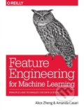 Kniha: Feature Engineering for Machine Learning (Alice Zheng). O'Reilly Media, 2018