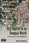 Kniha: Big Capital in an Unequal World (Rosita Armytage). Berghahn Books, 2020
