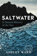 Kniha: Saltwater (Dr Ashley Ward). Bonnier Books, 2026