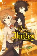 Kniha: A Certain Magical Index, Vol. 12 (Novel) (Kazuma Kamachi). Yen Press, 2017