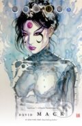 Kniha: Kabuki Omnibus Volume 4 (David Mack). , 2021