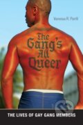 Kniha: The Gang's All Queer (Vanessa R. Panfil). New York University Press, 2017