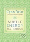 Kniha: Subtle Energy Techniques (Cyndi Dale). Llewellyn Publications, 2017