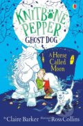 Kniha: A Horse called Moon (Claire Barker). Usborne, 2020
