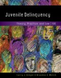 Kniha: Juvenile Delinquency (Brandon Welsh a Larry Siegel). , 2017