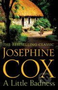 Kniha: A Little Badness (Josephine Cox). Headline Book, 2017