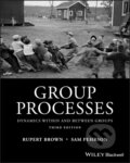 Kniha: Group Processes (Rupert Brown a Samuel Pehrson). Wiley-Blackwell, 2019