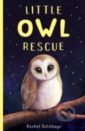 Kniha: Little Owl Rescue (Rachel Delahaye). Little Tiger, 2020