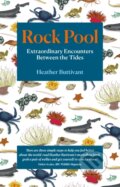Kniha: Rock Pool (Heather Buttivant). September Publishing, 2020