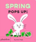 Kniha: Spring Pops Up! (Aurore Petit). Phaidon, 2027