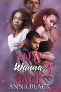 Kniha: Now You Wanna Come Back 3 (Anna Black). , 2023
