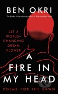 Kniha: Fire in My Head, 2022