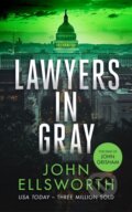 Kniha: Lawyers in Gray (John Ellsworth). Vinci Books, 2025