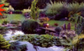 John Masseys Garden at Ashwood Nurseries, West Midlands, Crown & Andrews