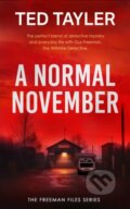 Kniha: A Normal November (Ted Tayler). Vinci Books, 2025