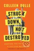Kniha: Struck Down, Not Destroyed (Dulle Colleen). Images, 2025