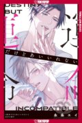 Kniha: Fated NOT to Meet, Volume 2 (Ei Eijou). Tokyopop, 2026
