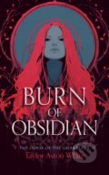 Kniha: Burn of Obsidian (Taylor Aston White). Vinci Books, 2026
