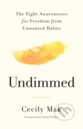 Kniha: Undimmed (Cecily Mak). Flatiron Books, 2026