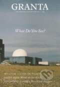 Kniha: Granta 159: What Do You See? (Sigrid Rausing). , 2022