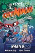Kniha: Cat Ninja 3 (Colleen AF Venable, Matthew Cody a Marcie Colleen). Andrews McMeel, 2022