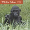 Wildlife Babies 2008 (Presco Group)