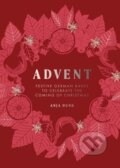 Kniha: Advent (Anja Dunk). Quadrille, 2025