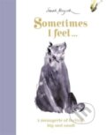 Kniha: Sometimes I Feel... (Sarah Maycock). Big Picture, 2022