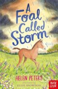 Kniha: A Foal Called Storm (Helen Peters). Nosy Crow, 2021