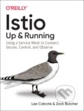 Kniha: Istio: Up and Running (Lee Calcote a Zack Butcher). O'Reilly Media, 2019