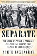 Kniha: Separate (Steve Luxenberg). WW Norton & Co, 2020