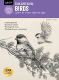 Kniha: Drawing: Birds (Maury Aaseng). , 2020