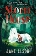 Kniha: Storm Horse (Jane Elson). Hodder Children's Books, 2021