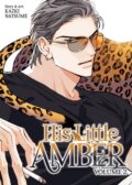 Kniha: His Little Amber Vol. 2 (Kazki Natsume). Seven Seas, 2026