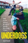 Kniha: Underdogs (Joel Budd). Picador, 2025