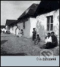 Kniha: Eva Davidová (Torst). Torst, 2005
