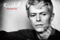 Ricochet: David Bowie 1983 - Denis O&#039;Regan, Particular Books, 2018