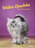 Kniha: The Cat Photographer (Brittany Hudak, David La Spina a Walter Chandoha). Aperture, 2018