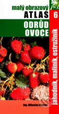 Malý obrazový atlas odrůd ovoce 6 - Miloslav Richter, TG TISK, 2004