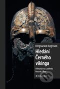 Hledání Černého Vikinga - Bergsveinn Birgisson, Kniha Zlín, 2019