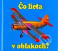 Kniha: Čo lieta v oblakoch? (Delfín). Delfín, 2008