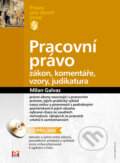 Kniha: Pracovní právo (Milan Galvas). Computer Press, 2005
