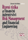 Řízení rizika a finanční inženýrství/Risk management and financial engineering - Zdenek Sid Blaha, Management Press