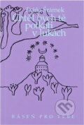 Kniha: Chtěl bych tě potkati v lukách (Fráňa Šrámek). ETC Publishing, 1998