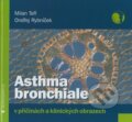 Asthma bronchiale v příčinách a klinických obrazech - Milan Teřl, Ondřej Rybníček, GEUM, 2008