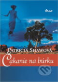 Kniha: Čakanie na búrku (Patricia Shawová a Shawová Patricia). Ikar, 2002