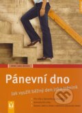 Kniha: Pánevní dno (Irene Lang-Reeves). Vašut, 2008