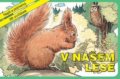 Kniha: V našem lese (Vydavatelství Akvarel)
