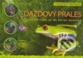 Kniha: Dažďový prales – 3D sprievodca (Joe Fullman). Eastone Books